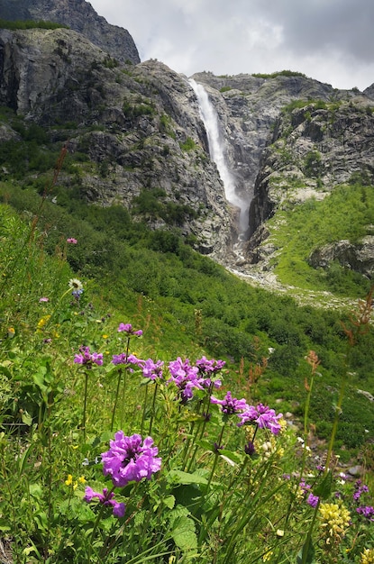 Beautiful flowers stachys macrantha in the mountains and a large waterfall. Sunny summer landscape. Zemo Svaneti, Georgia