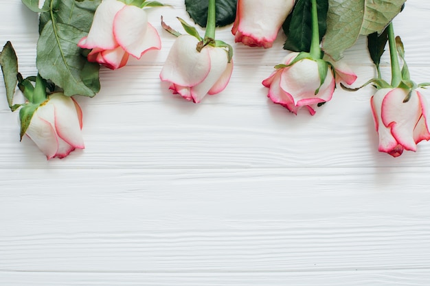 beautiful flowers on white wooden background