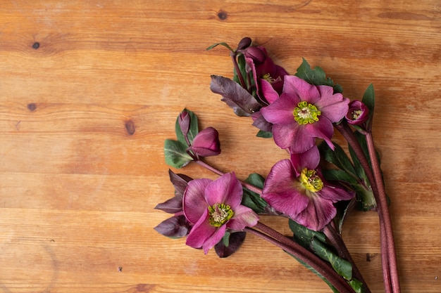 Beautiful flowers. The work of the florist. Flower delivery.