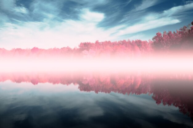 Beautiful foggy autumn morning by the lake