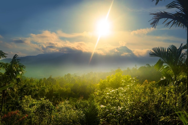 Beautiful foggy mountain sunrise