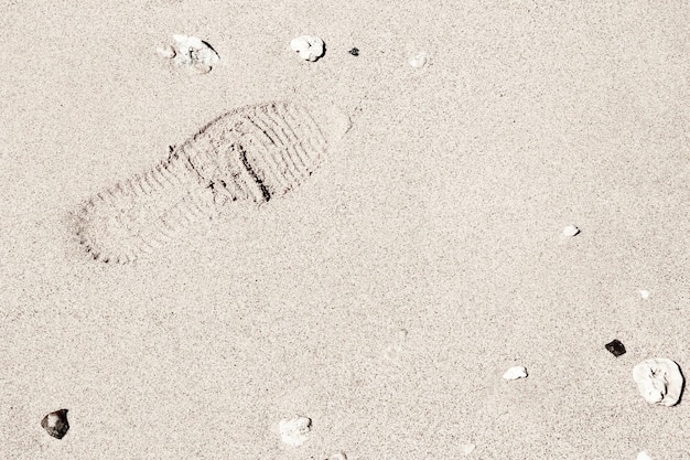 Photo beautiful footprints in the sand sea nature background