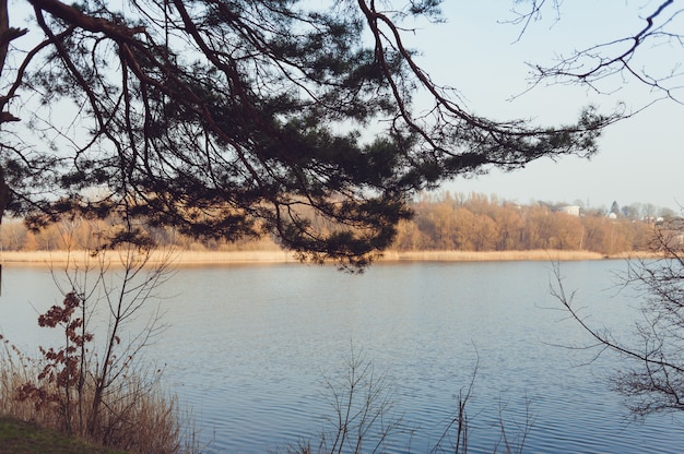 Beautiful forest lake early spring