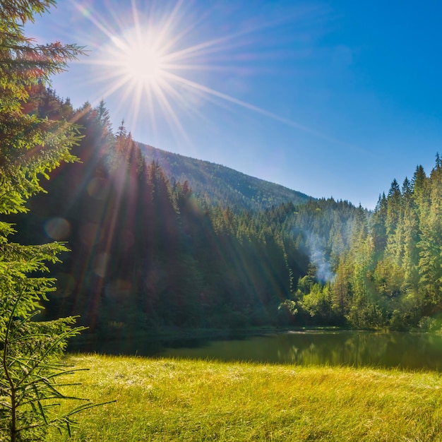 Beautiful forest lake in the mountains with blue water morning light and shining sun