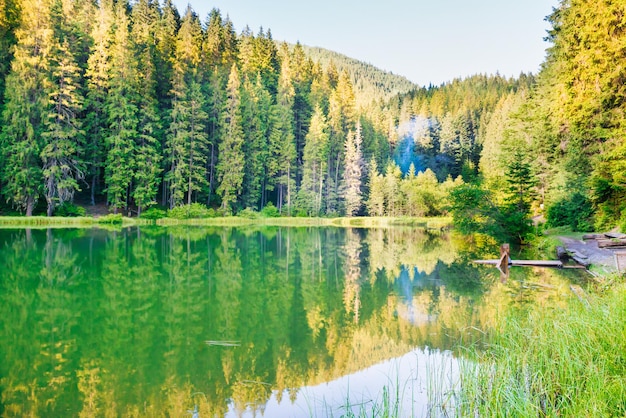 Beautiful forest lake in the mountains with blue water and morning light