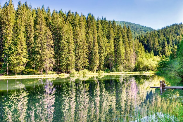 Beautiful forest lake in the mountains with blue water and morning light