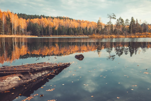 Beautiful forest and old wooden pier on tranquil lake with trees reflection autumn landscape