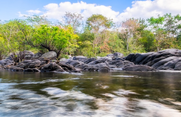 Beautiful forest and rapids river in national park,suan phung,ratchaburi,thailand