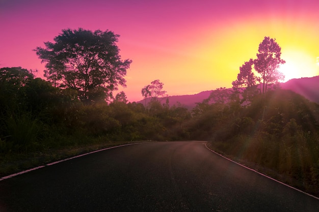 Beautiful forest sunset with empty road and sunrays