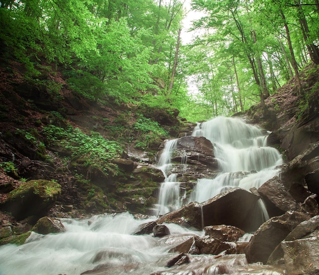 Beautiful forest waterfall with trees around it horizontal photo