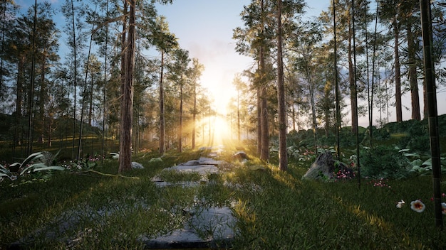 Beautiful forest with trees in the morning sunlight