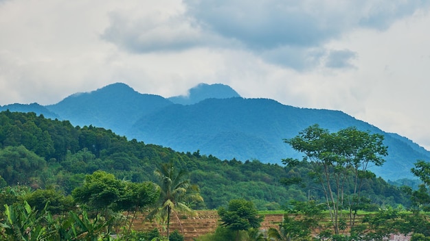 Beautiful and fresh hill view, West Java, Indonesia