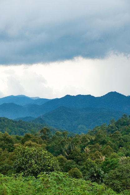 Beautiful and fresh mountain scenery