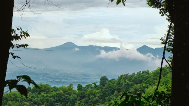 Beautiful and fresh mountain scenery