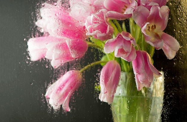 Beautiful fresh spring bouquet with tulips through the glass with rain drops Fresh spring background Perfect postcard for Mother's Day International Woman's Day