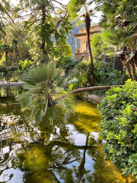 Beautiful garden in Mallorca