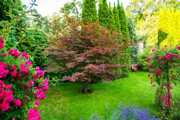 Beautiful garden with vibrant vegetation