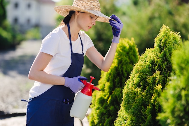 Beautiful gardener woman in straw hat sprinkles plants from a garden sprayer.