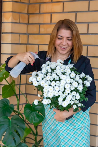 A beautiful girl in an apron sprays white chrysanthemum flowers in a spray pot against the background of a brick wall and a growing tire iron Care of indoor plants Selective focus