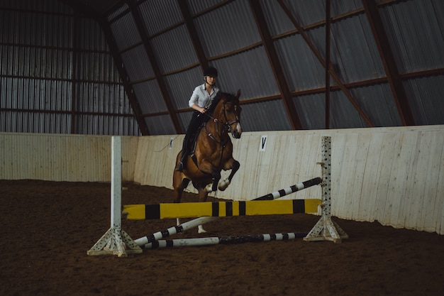 Beautiful girl riding a horse