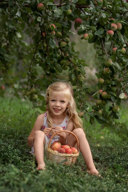 Beautiful girl sits in an apple orchard with a basket of apples