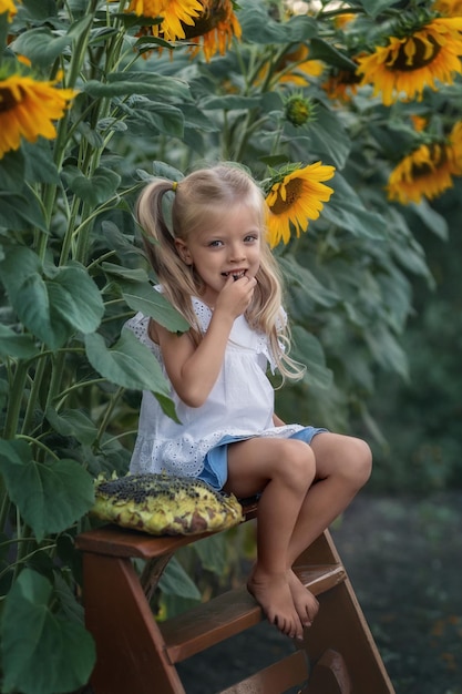 Beautiful girl sits on a bench in sunflowers and eats sunflower seeds