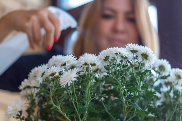 A beautiful girl sprays white chrysanthemum flowers from a spray gun in her room at home Care of indoor plants Selective focus