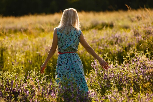 beautiful girl in a summer field