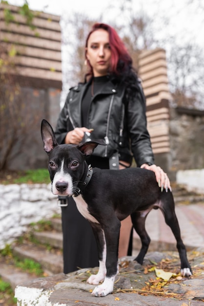 Beautiful girl with burgundy hair and in an elegant dress with a cute puppy on a leash Posing in the park Dog mix Staffordshire Terrier and Pit Bull Terrier