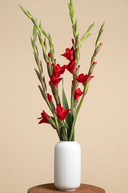 Beautiful gladiolus in vase