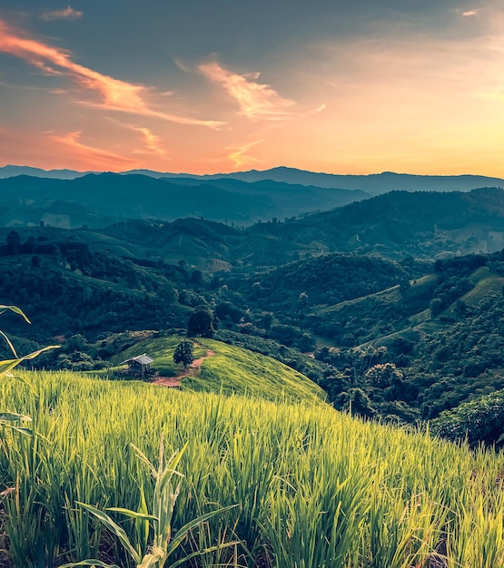 Beautiful gold color sunset at rice paddy field on mountains terraced, Thailand