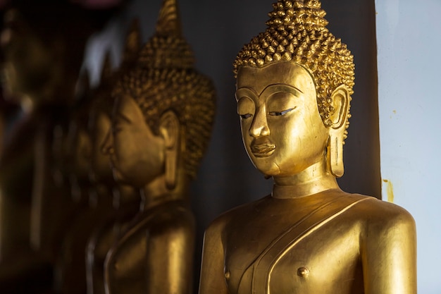 Beautiful Golden Buddha statues at Buddhist temple