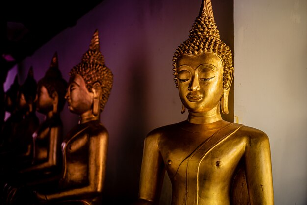 Beautiful golden buddha statues