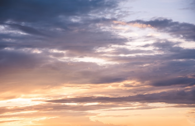 Beautiful golden evening light