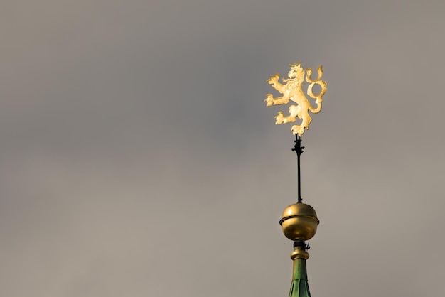 Beautiful golden weathervane in the form of a lion on a background of the sky