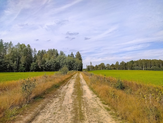 Beautiful gravel road in Saint-Petersburg suburbs.