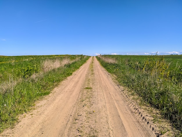 Beautiful gravel road in Saint-Petersburg suburbs.