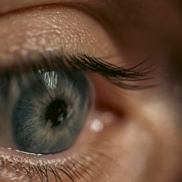 beautiful gray male eye close up, macro photo, topic ophthalmology