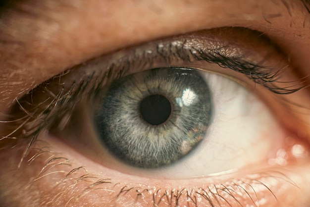 beautiful gray male eye close up, macro photo, topic ophthalmology