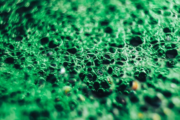 Beautiful green bubbles background Macro view