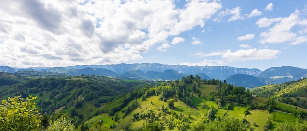 Beautiful green forest on the mountains