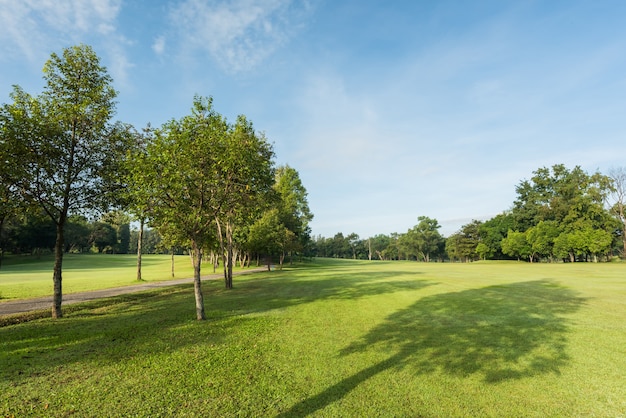 Beautiful green golf and meadow at the park