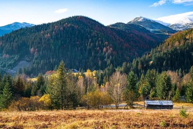 Beautiful green hills covered with colorful autumn trees in the wonderful Carpathian mountains in picturesque Ukraine