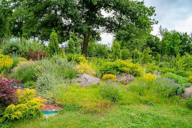 Beautiful green landscapes of flowers and plants Field of spring flowers and grass