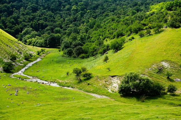 Beautiful green landscapes with hills forest and rocks in Moldova