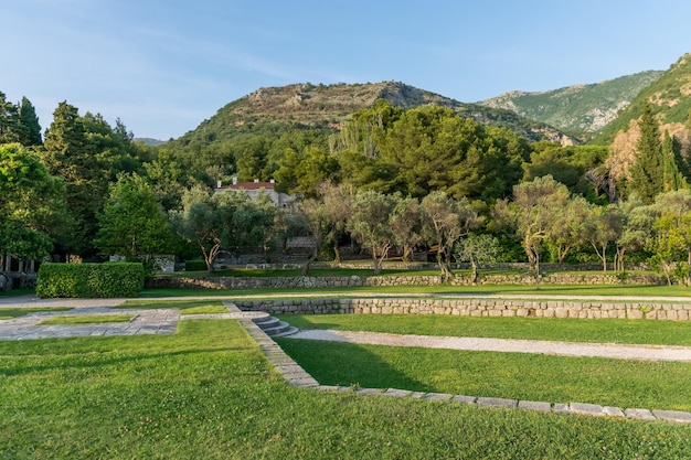 Beautiful green lawn in the park Milocer