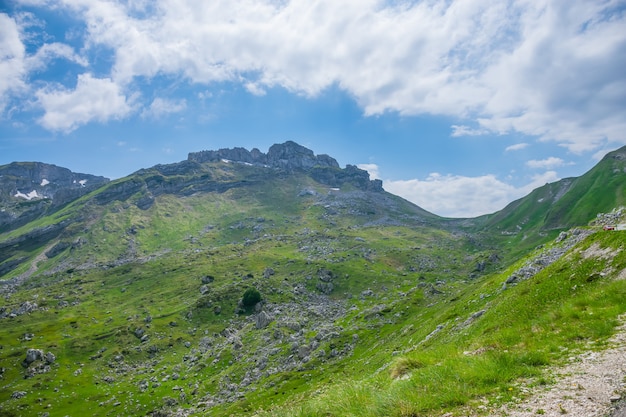 Beautiful green meadows stretched among the picturesque mountains