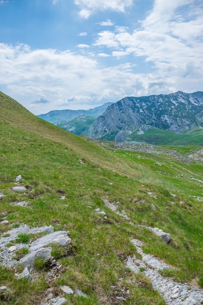 Beautiful green meadows stretched among the picturesque mountains