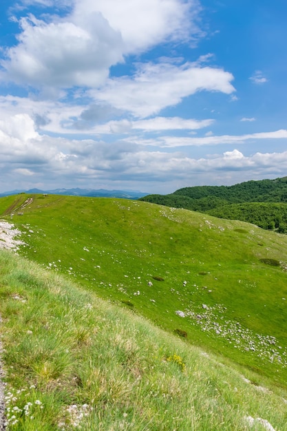 Beautiful green meadows stretched among the picturesque mountains