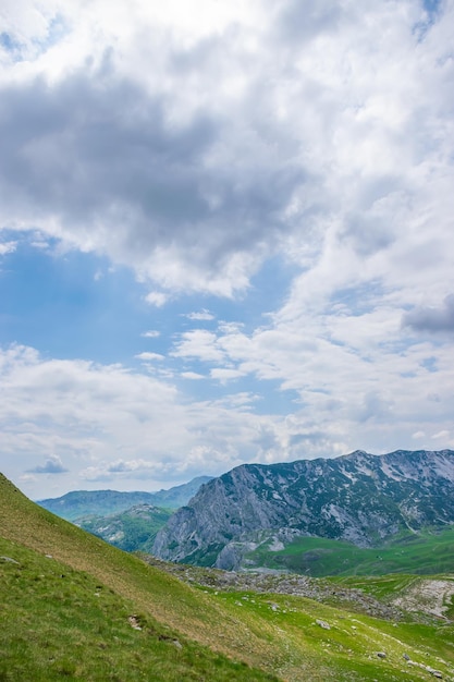 Beautiful green meadows stretched among the picturesque mountains